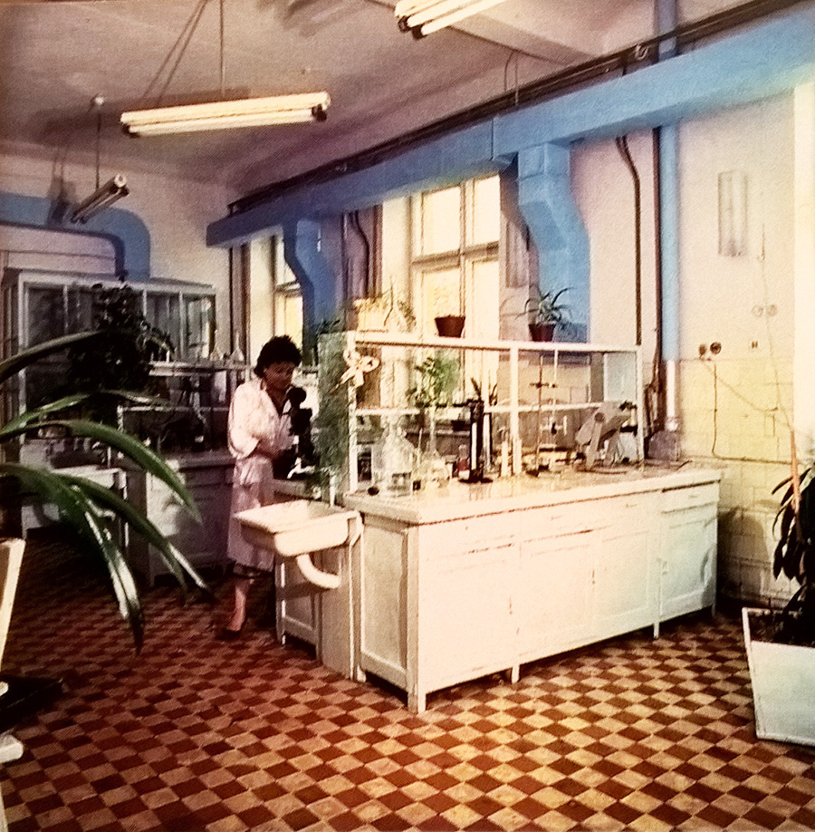 Центральна заводська лабораторія